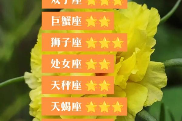 白羊座今日星座运势2025年3月29日 白羊座今日星座运势2025年3月29日