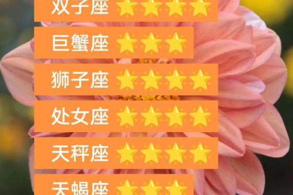 2025年3月22日处女座今日运势第一星座网 2025年3月22日处女座今日运势第一星座网