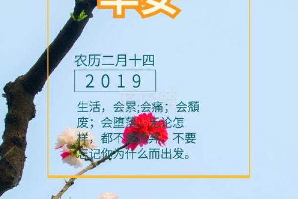 农历2月14是什么日子 农历2月14是什么日子