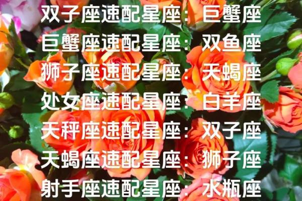 2025年3月29日今日星座运势查询第一星座网 2025年3月29日今日星座运势查询第一星座网