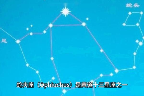 玛法达一周星座运势_玛法达一周星座运势44410