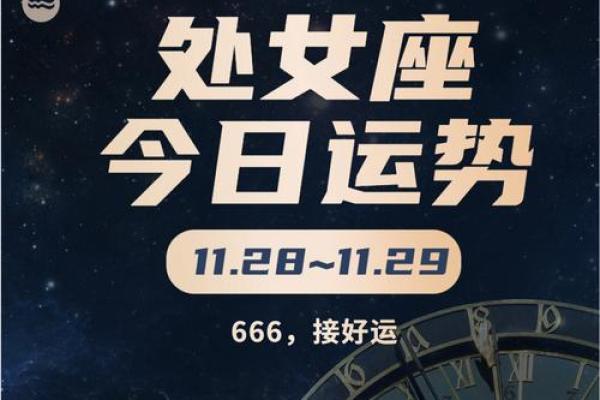 星座运势处女_2024年处女座运势详解事业爱情双丰收