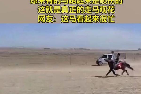 走马观花打一个生肖(走马观花打一个生肖马吗) 走马观花打一个生肖(走马观花打一个生肖马吗)