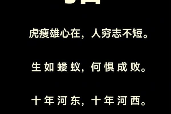 虎背熊腰指什么生肖(虎背熊腰是什么生肖)