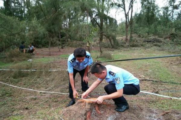 顺藤摸瓜是什么生肖(顺藤摸瓜是指什么生肖) 顺藤摸瓜是什么生肖(顺藤摸瓜是指什么生肖)