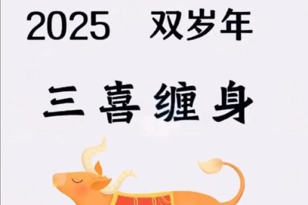 2025年金牛座运势详解全年运程大揭秘