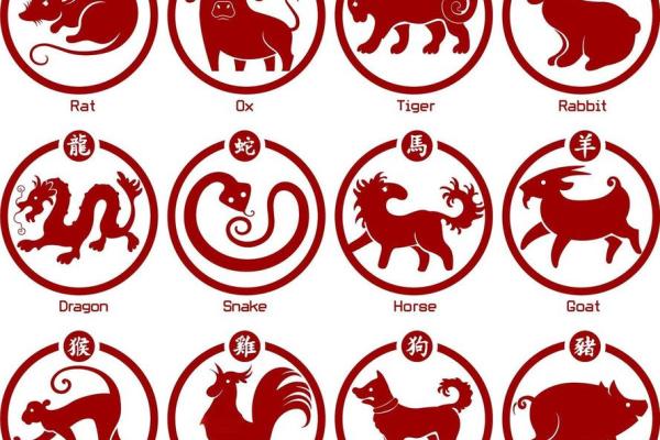 四月六眉挂柳湾猜生肖(四月六眉是指什么意思)