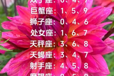 白羊星座今日运势查询一星座屋_白羊座今日运势第一星座程