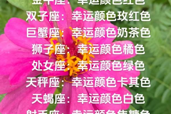 属羊金牛座女一生运势_属羊金牛座女生性格爱情观