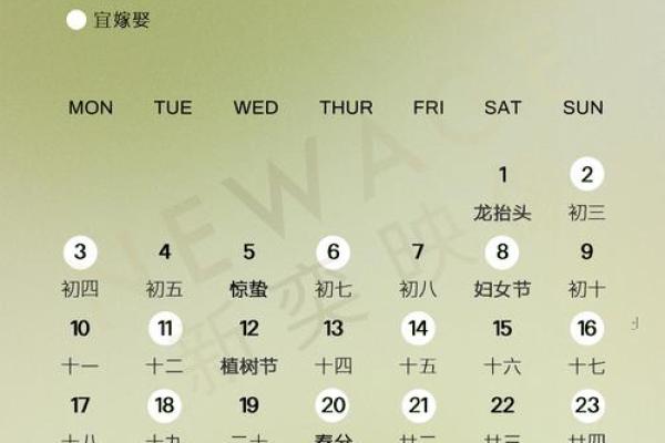 2025年适合结婚的月份有哪些(2025年哪天适合结婚)