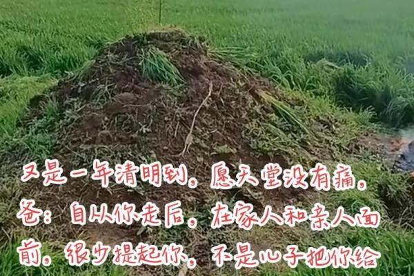 祖坟动土的禁忌