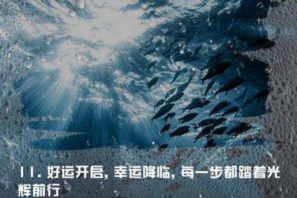 lucky大叔星座运势_lucky大叔星座运势2024精准预测好运连连