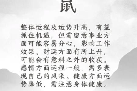 2025年3月26日12星座运势今日运势