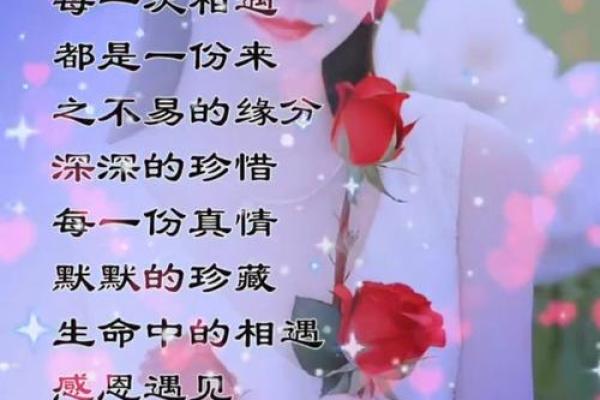 2002年属马人何时遇真爱揭秘最佳年龄与缘分时机 2002年属马人何时遇真爱揭秘最佳年龄与缘分时机