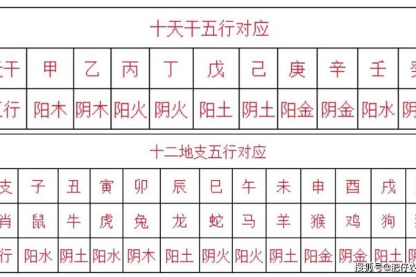 2012年农历龙年五行解析属龙者水命运势揭秘