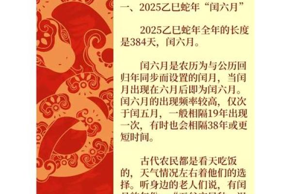 2025年 蛇_2025年蛇年是乙巳年吗
