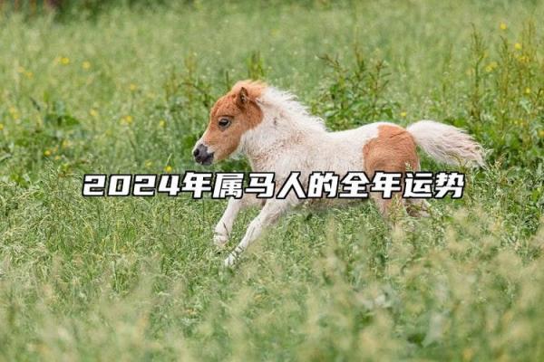 属马的今年的运势和财运_2024甲辰年属马运势全解析逐月财运走势大揭秘