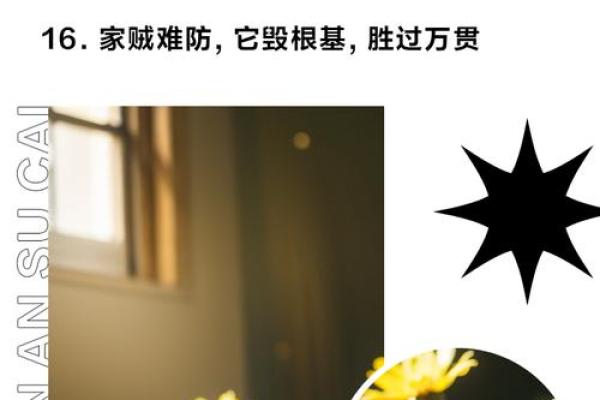 偷天换日好本领是什么生肖(偷天换日指的是什么生肖)