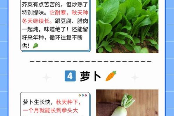 不冷不热是什么生肖(不冷不热猜一地名)