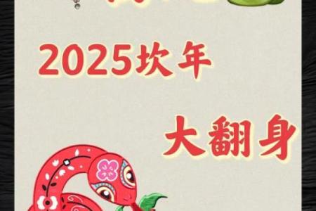 生肖蛇2025年运势完整版_属蛇人2025年运势详解
