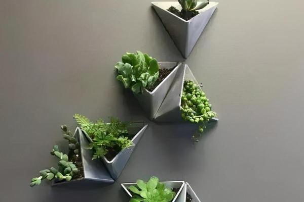 栽花算不算动土