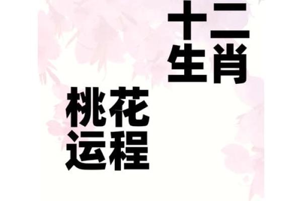 属马人在2025年运势 2025年属马人运势全解析吉凶预测与转运指南