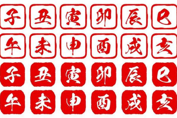 2012年属龙男孩一生学业如何_属龙人上初中成绩如何