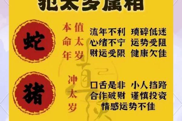 属龙2025年多少岁 今年属龙的运气怎么样1988年的 属龙2025年多少岁 今年属龙的运气怎么样1988年的