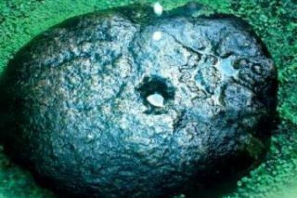 水滴石穿打一个生肖(水滴石穿打一生肖是什么动物) 水滴石穿打一个生肖(水滴石穿打一生肖是什么动物)