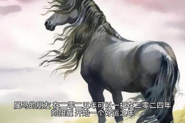 2025年属马人财运 2025年属马人财运方位 2025年属马人财运 2025年属马人财运方位