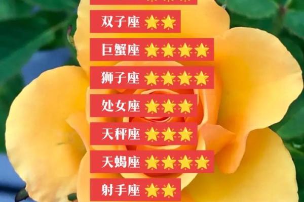 2025年3月27日今日星座运势双子座 2025年3月27日今日星座运势双子座