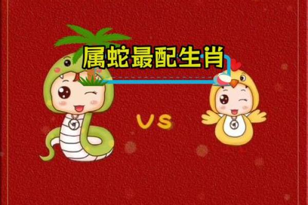 红颜知己是什么生肖(蛇的红颜知己是什么生肖)