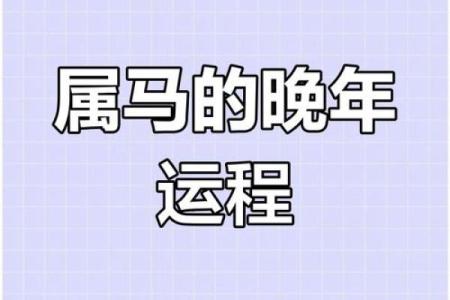 1990年农历9月28日属马命运解析运势性格全揭秘