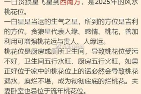 2025属蛇本命年运势全年12个月逐月运程详解