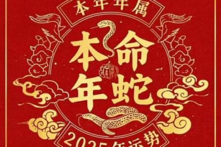 蛇本命年运势2025_2025蛇年本命年运势全解析全年每月运程详解