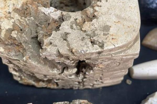 悬河注水是什么生肖(悬河注水是什么生肖呢)