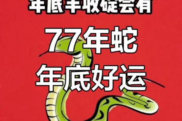 77年属蛇男2025年全年运势详解逐月运程大解析