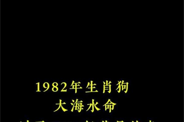 2006年的狗在2025年的运势怎么样 2006年属狗人2025年运势详解 2006年的狗在2025年的运势怎么样 2006年属狗人2025年运势详解