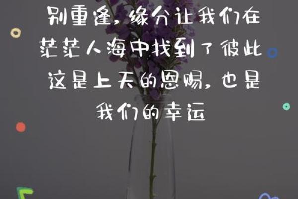 缘分的句子经典_缘分经典短句 缘分的句子经典_缘分经典短句