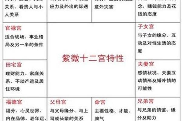 福德宫化忌入子女宫命理解析与运势影响