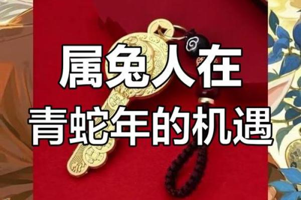 2025年属兔人全年运势 2025年属兔人全年运势怎么样