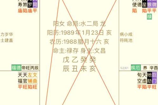 财帛宫巨门旺财富运势解析与提升策略 财帛宫巨门旺财富运势解析与提升策略