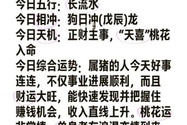2025年属猪的运程 2025年属猪运程详解财运事业感情全解析 2025年属猪的运程 2025年属猪运程详解财运事业感情全解析