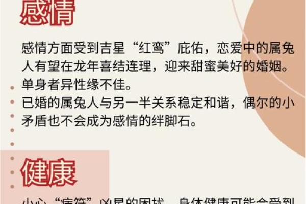 1999年属兔2025年运势及运程_属兔2025年有大喜缠身