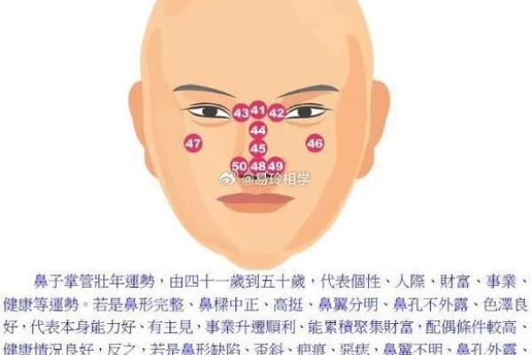 父母宫化禄入财帛宫财富与家庭运势的深度解析