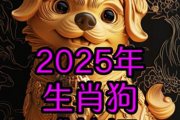 2025年70年属狗人运势与财运全解析