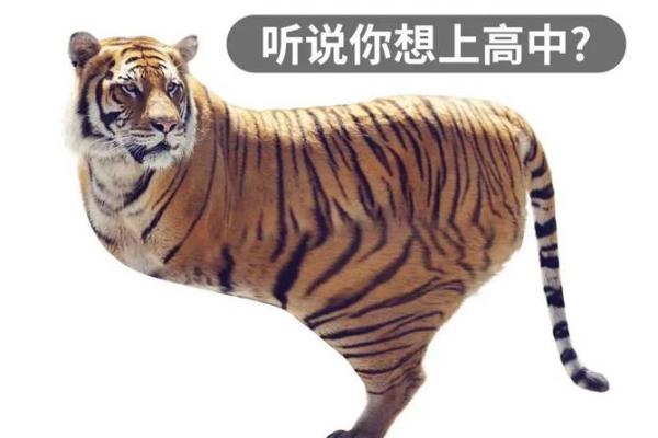 背上还有一个背腿边还有四条腿是什么生肖(背上还有一个背,脚边还有四只脚猜一物) 背上还有一个背腿边还有四条腿是什么生肖(背上还有一个背,脚边还有四只脚猜一物)