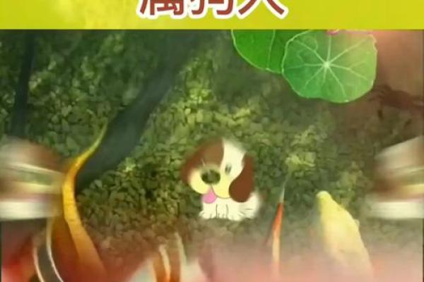 1946年属狗的寿命多长_1946属狗人的寿命预测女命