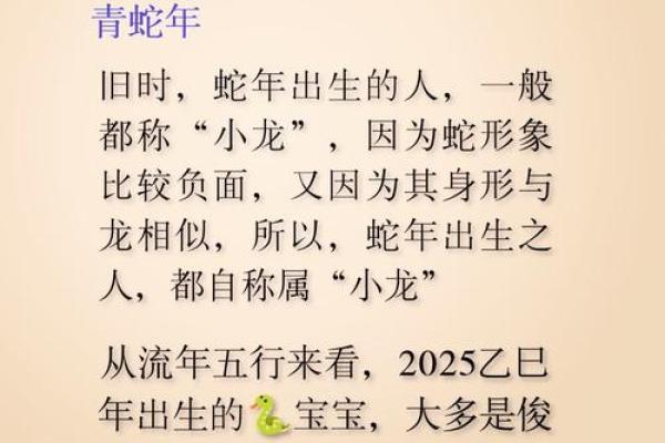 属龙今日运势2025年运程 属龙遇蛇年2025运势怎么样 属龙今日运势2025年运程 属龙遇蛇年2025运势怎么样