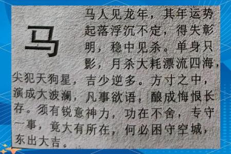 属马的2025年的运势 属马在2025年的运势好不好呢